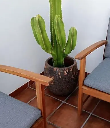 Famarabeach2 * カレタ・デ・ファマラ